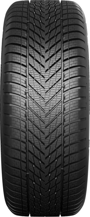175/65R17 87H DUNLOP WINTER