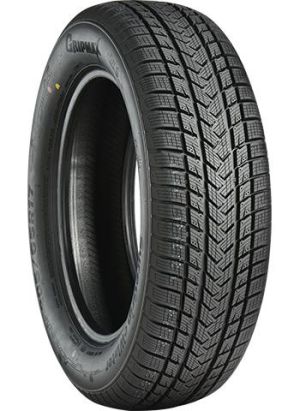 235/60R20 108H Gripmax SUREGRIP eWINTER XL