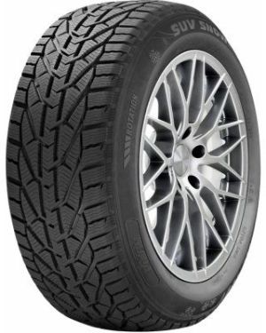 225/45R17 94V Riken SNOW