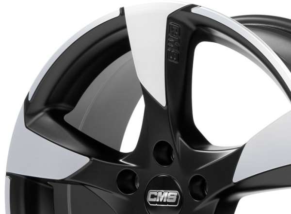 cms-c18-dmb_3.jpg